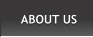 ABOUT US ABOUT US