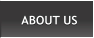 ABOUT US ABOUT US
