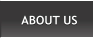 ABOUT US ABOUT US