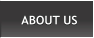 ABOUT US ABOUT US